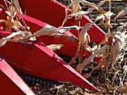 山东新农发三行四驱玉米机~割台落的低，贴地面收割矮棒，收倒伏玉米效果好