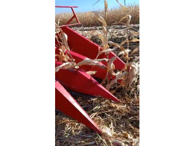 山东新农发三行四驱玉米机~割台落的低，贴地面收割矮棒，收倒伏玉米效果好