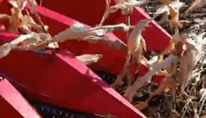 山東新農發三行四驅玉米機~割臺落的低，貼地面收割矮棒，收倒伏玉米效果好