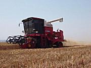 郑州中联收获小麦收割机作业视频