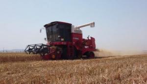 郑州中联收获小麦收割机作业视频
