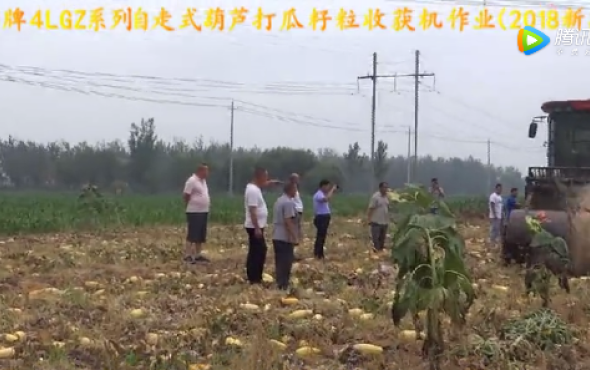 春明牌4LGZ系列自走式葫芦打瓜籽粒收获机作业-作业视频