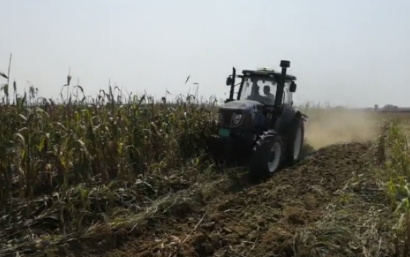 農神1LFT-360翻轉犁配套雷沃1604拖拉機高粱地耕地作業