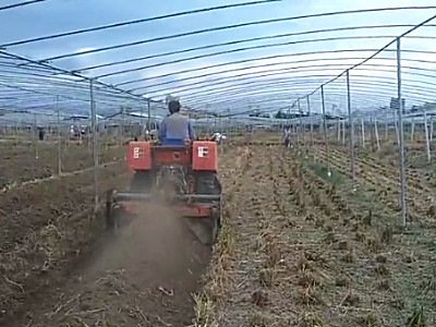 湖南农夫NF-Y602履带拖拉机-大棚王-作业视频