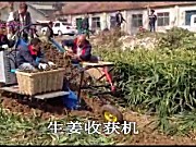 潍坊森海生姜收获机-作业视频