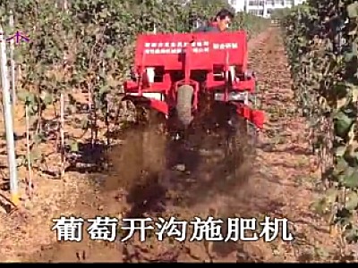 森海佐佐葡萄木开沟施肥机作业视频