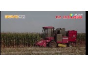 中農博遠4YZ-4X玉米收獲機作業視頻