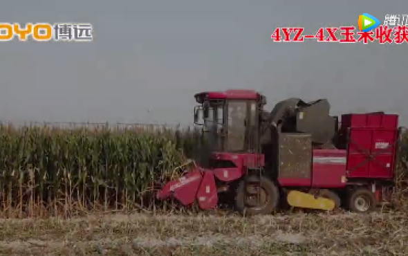中農博遠4YZ-4X玉米收獲機作業視頻