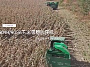 常发农装CF904B/905B玉米果穗收获机作业视频