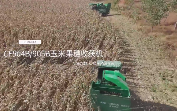 常发农装CF904B/905B玉米果穗收获机作业视频