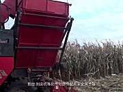 新疆牧神4YZB-5自走式玉米收获机工作视频