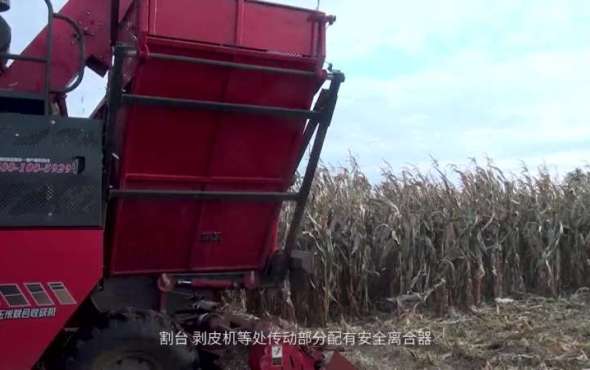 新疆牧神4YZB-5自走式玉米收獲機工作視頻