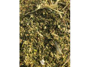 9QZ-2900青贮饲料收获机收获视频