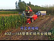 河北农哈哈4QZ-18A青饲料收获机-作业视频