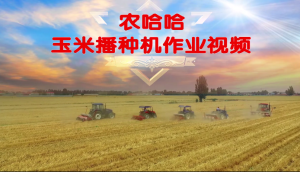 農哈哈玉米播種機-作業視頻
