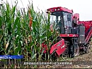 牧神4YZB-4C山地玉米收获机产品讲解
