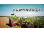 中聯AC90大噸位甘蔗收獲機作業視頻