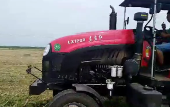 中州兴发1JQ-240型甘蔗叶粉碎还田机中原地区作业视频