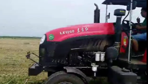 中州兴发1JQ-240型甘蔗叶粉碎还田机中原地区作业视频