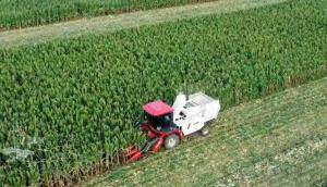 徐工XCA430玉米機作業(yè)視頻