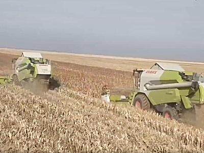 科樂收（CLAAS)TUCANO聯合收割機新疆用戶采訪視頻