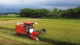 久保田EX118MQ-S全喂入履帶式收割機宣傳視頻