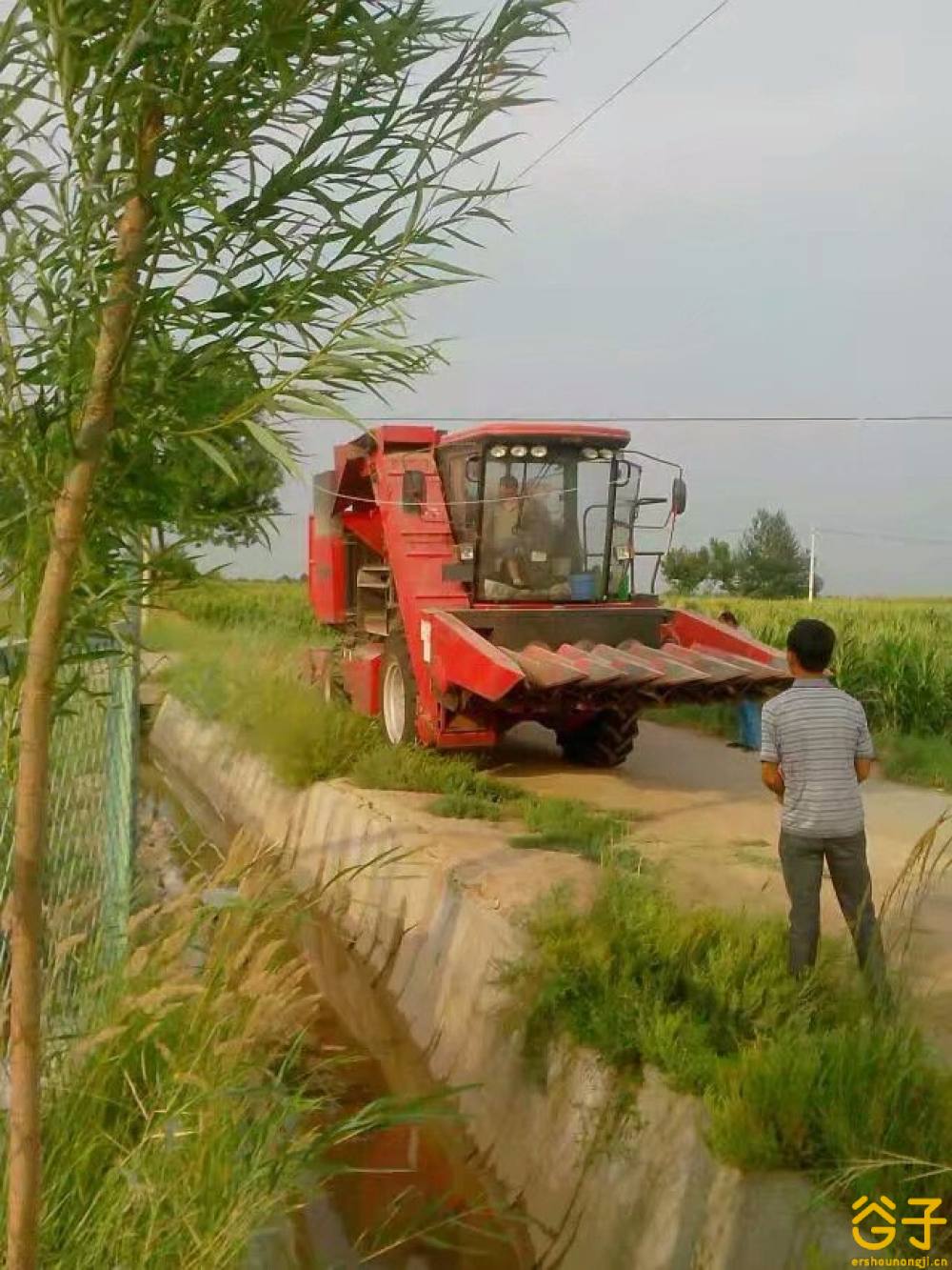 新疆牧神4YZT-7型自走式玉米籽粒收获机
