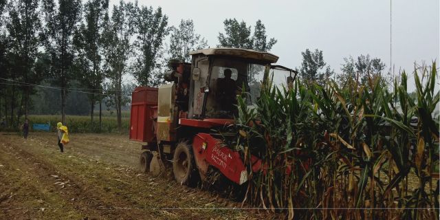 雷沃谷神CB03(4YZ-3K)玉米收割机