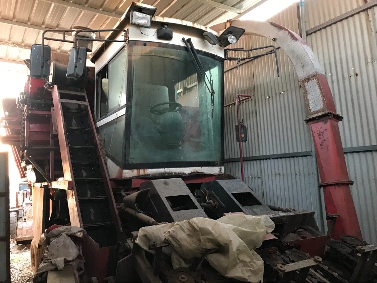 青岛豪特4YZQ-3型自走式穗茎兼收玉米收获机