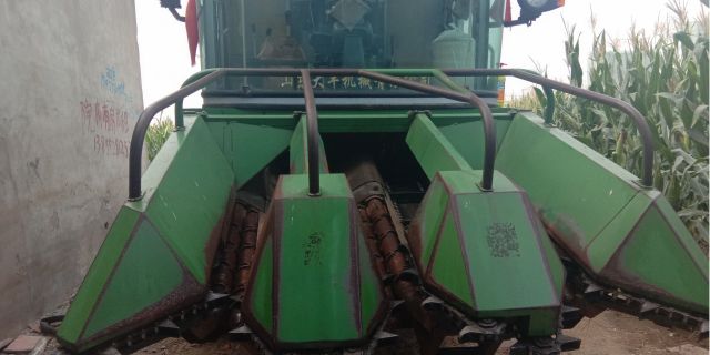 金大丰4YZP-3玉米收割机