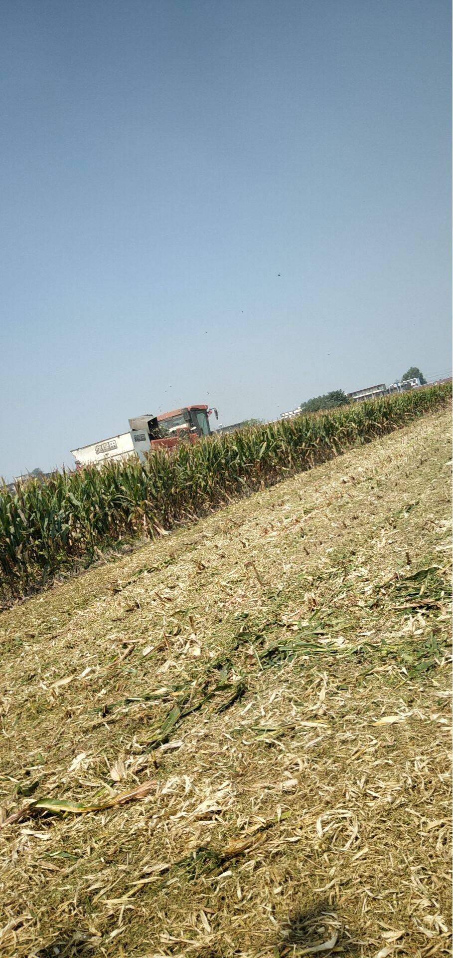 久保田1408Y收割机